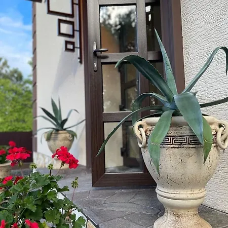 комплекс сільдар Solotvyno